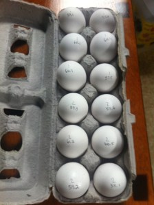 Eggs labeled with their mass and initial carton number. 