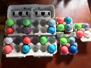 Eggs from all trials, after coloring