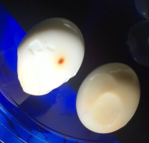 Peeled eggs from the Baking method. Note the "Death star" like crater, and brownish color, of the egg on the right. A small burn mark, like on the left egg, seems to be opposite the large crater.