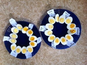 Eggs from each method and time experiment, cut in half and labeled.