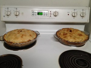 left: Pie #1(2 cinnamon sticks)right: Pie #2 (1 cinnamon sticks)