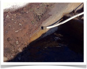 Hose #1 outlet flow. Outlet was positioned at an elevation lower than the basement, near the curb, to get water out of the house.