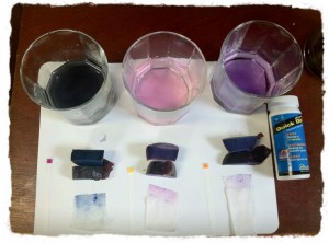 Potatoes at conclusion of experiment, sliced in half, with pH strips, and blotted paper-towel. Samples are baking soda, vinegar, and tap water, from left to right.