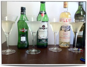 Martinis made with different vermouths. Each martini was made with the vermouth to its right in the photo.