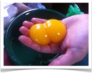 Two yolks, one egg!