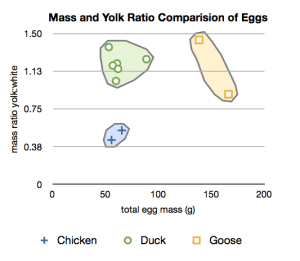 Plot of total egg mass in grams versus the yolk to white mass ratio. The chicken, duck, and goose eggs plot in distinct regions. 