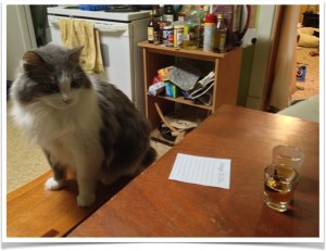 Isaac, resident feline guest taste-tester/floor-licker, isn't sure what he thinks. (note: not alcohol was provided to our furry residents) 