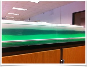 Three layers of water with different densities in a long tank. End result of a lab exercise in oceanography.