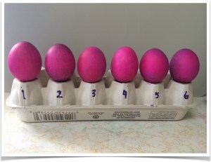 Eggs dyed in sequence with dye bath reheated after each egg.
