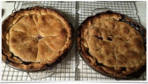 The two baked pies. Left: with apple, Right: just blueberries. The difference in crust doneness/appearance is not understood.