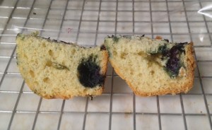 Two quartered muffins, side by side.