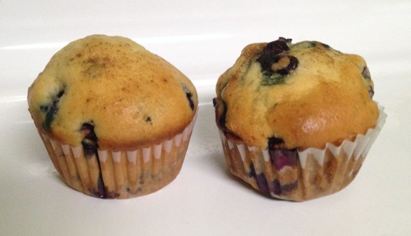 A pair of blueberry muffins