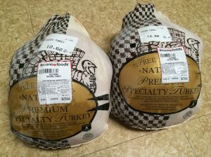 Two turkeys, ready and waiting for science.