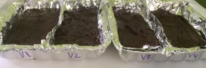 Labeled brownies in partitioned pans. V1: original recipe - chips, V2: recipe + chips, V3: recipe - chips + sugar, V4: recipe - chips + butter.
