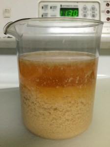 Curds, tannins, and other undesirables which have settled out of the vodka.