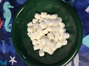 bowl of fresh-looking marshmallows.